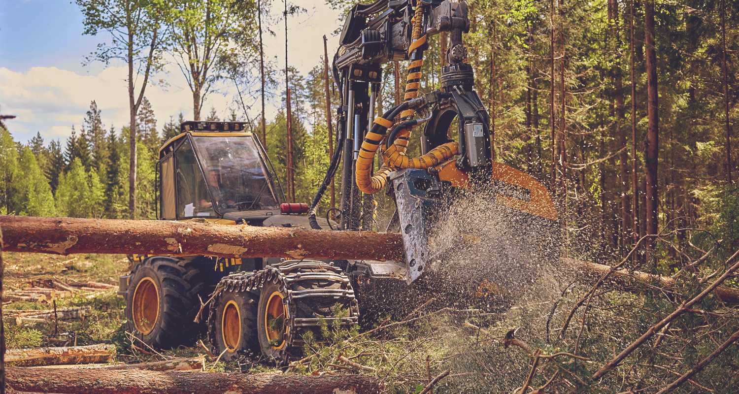 A description of my image.