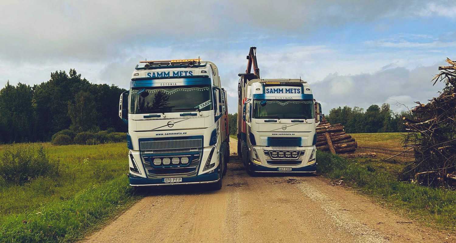 A description of my image.